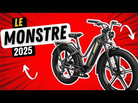 Le retour du Fiido Titan version Homologuée