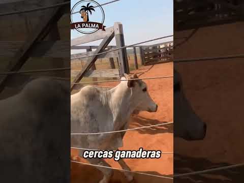 Cercas Ganaderas