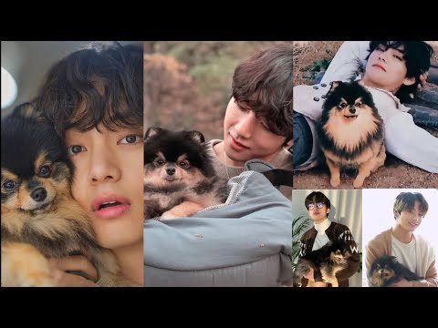 Kim Taehyung 😍 and other members love yountan 🤗🐕🐩#shorts #bts #viralshorts #youtubeshorts #btsarmy