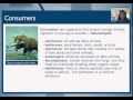 Ecological Concepts and Energy Flow