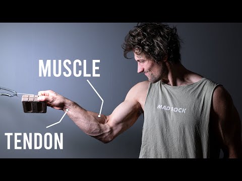 How To Build Finger Strength (SCIENCE EXPLAINED)