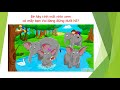 Observing Elephants in Nature