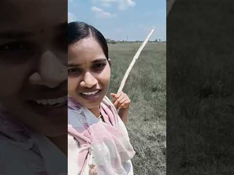 Barrelakka antara babu||like share subscribe my channel || Barrelakka creations 🤗🤗🤗