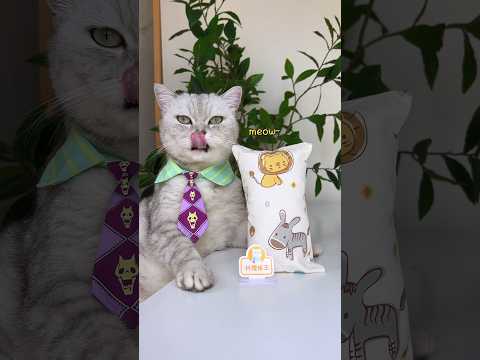 How To DIY A Silk Pillow As Soft As A Cloud?😊☁️🌟 #catsofyoutube #catvideo #tiktok