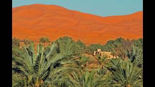 Merzouga Palmen Oase Erg Chebbi  Marokko Wüste