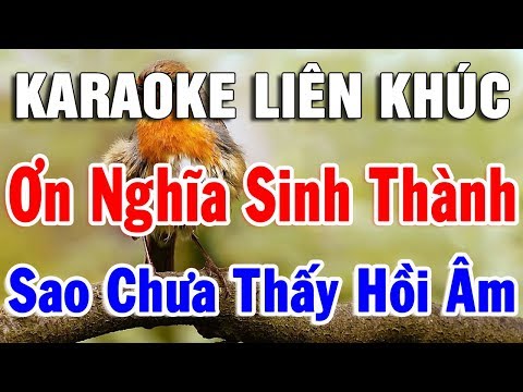 Karaoke Nhạc Vàng Bolero Trữ Tình Hay Nhất | Liên Khúc Nhạc Sống Ơn Nghĩa Sinh Thành | Trọng Hiếu