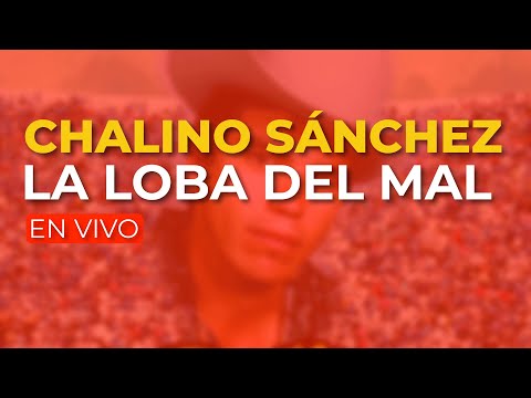 Chalino Sánchez - La Loba del Mal (En Vivo) (Audio Oficial)