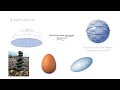 Geometry of Prisms and Pyramids