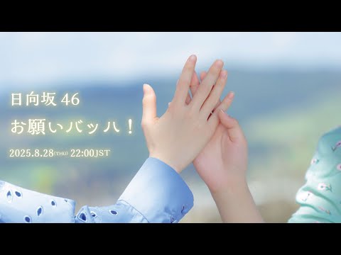 日向坂46『お願いバッハ!』MUSIC VIDEO