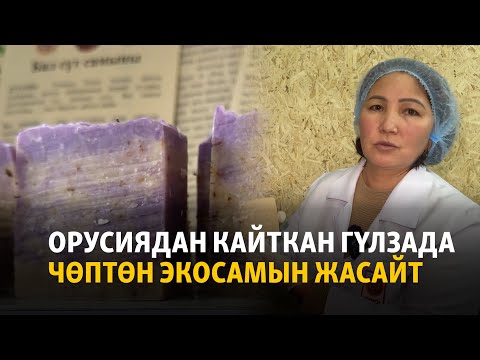 Жалал-Абад: Орусиядан кайткан Гүлзада чөптөн экосамын жасайт