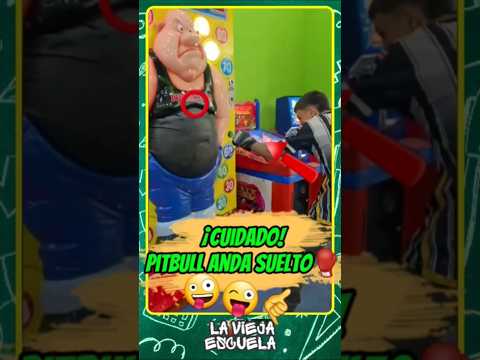 🟢 #EscuelaViral | Alerta! Puño de piedra 😂🤣#boxeo #clases #escuela #vacaciones #clases #laescuelita