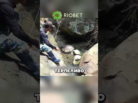 Охота на угря 😱🔥🎣