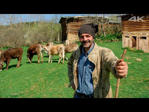 Baharda Köy Hayatı | Belgesel Film
