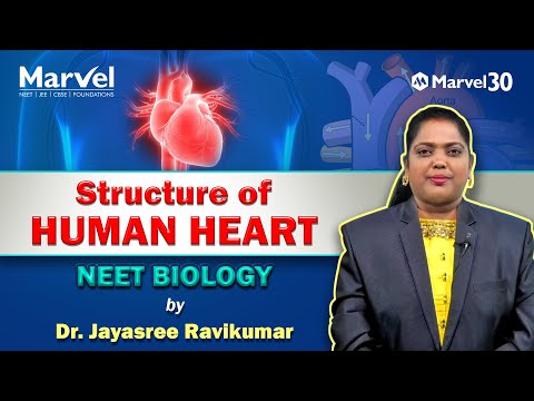 Marvel Classes by Akilan Institute - CBSE, NEET & JEE YouTube video thumbnail