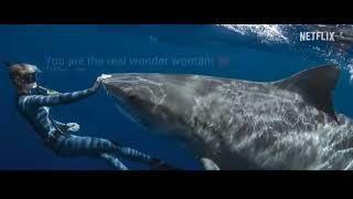 SHARKS WHISPERER | Official Trailer | Netflix