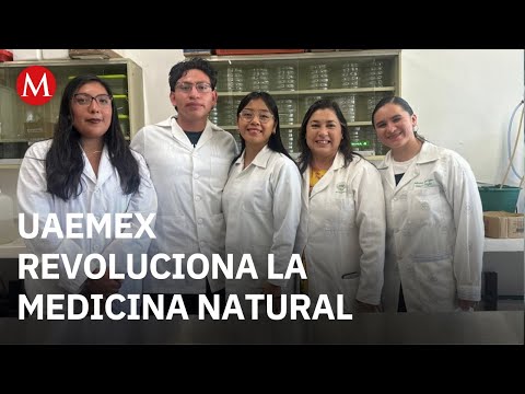 Universidad Mexiquense estudia hongos que podrían revolucionar la medicina natural