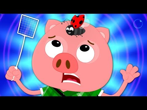 Shoo Fly Don't Bother Me | Nursery Rhyme | Kindergarten Song | Kids Rhyme For Baby - YouTube