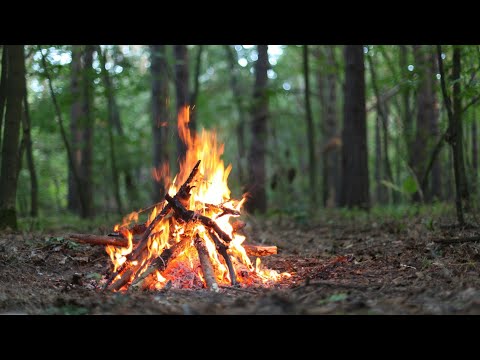 Campfire travel stories and cooking!