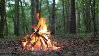 Campfire travel stories and cooking!