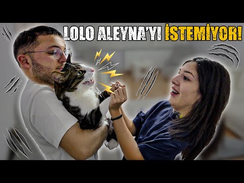 KIZ ARKADAŞIM VS KEDİM! (NASIL ANLAŞACAKLAR?)