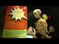 The Health Museum Insights