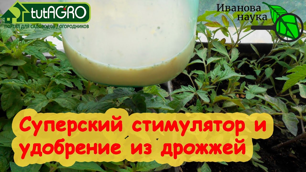 Дайте это растениям! И они отплатят вам большим урожаем и красотой! Перезагрузите ваш сад и огород!