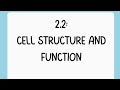 Cell Biology Concepts and Processes