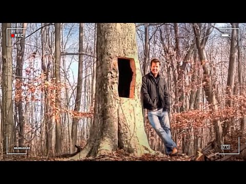 When a Murderer Hides His Kills in a Tree