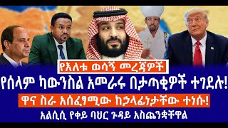 የሰላም ካውንስል አመራሩ በታጣቂዎች ተገደሉ!//ዋና ስራ አሰፈፃሚው ከኃላፊነታቸው ተነሱ!//አልሲሲ የቀይ ባህር ጉዳይ አስጨንቋቸዋል