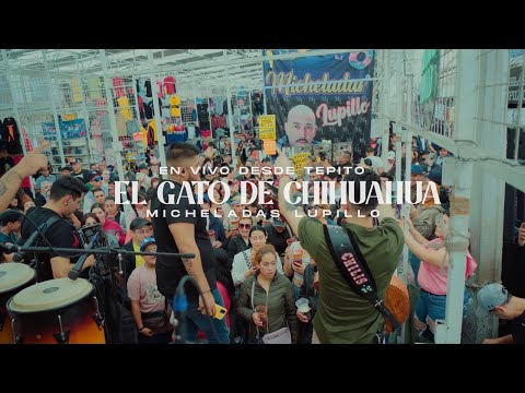 Grupo Kcamaro NR - El Gato De Chihuahua [En Vivo Desde Tepito 2024]