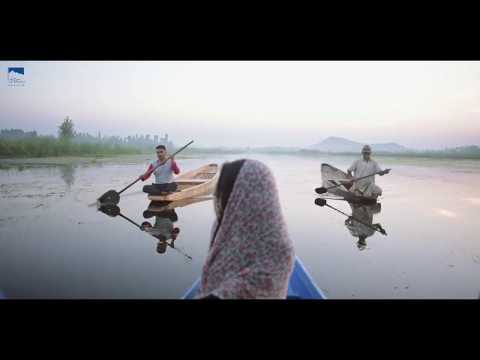 Dal Lake, Srinagar, Jammu and Kashmir - A complete eco-system in itself!
