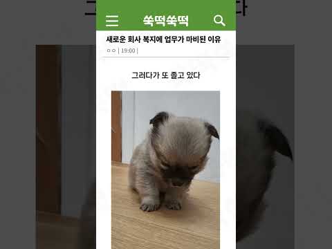 회사 업무를 마비시켜버린 회사 복지