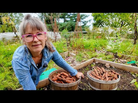 The Farm Stand Shutdown | My Response and Reflections