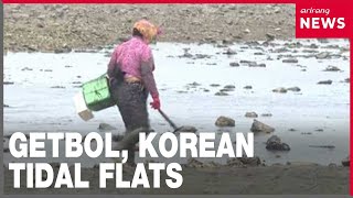 YouTube video thumbnail: Exploring Seosan's Garorim Bay as Korea Seeks Expanded Unesco World Heritage Recognition