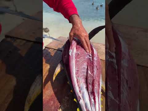 Como FILETEAMOS un ATUN aleta Amarilla 🐟 #pesca #pescaycocina #fishing