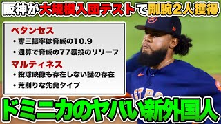 【史上初の新外国人を獲得】阪神がベタンセス＆マルティネスを大規模入団テストで獲得！新助っ人の成績・プレー映像を見た印象まとめ【阪神タイガース】