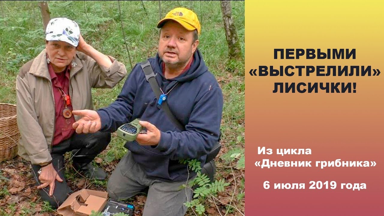 Первыми выстрелили лисички. 6 июля 2019 года