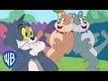 Understanding the Dynamics of Spike and Friends