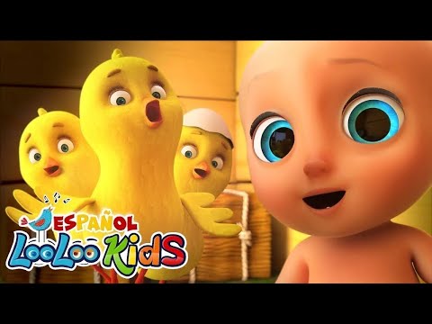 🐤🐥 Los Pollitos Dicen Pío Pío + Las Ruedas del Autobús | Canciones Infantiles | LooLoo Kids Español