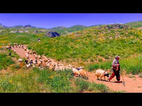 Hakkari’de Kürt Köylülerinin Misafirperverliği ve Doğal Güzellikleri