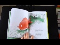 Otto the Fish: Growth and Care