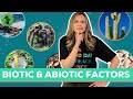 Exploring Biotic and Abiotic Interactions in Ecosystems