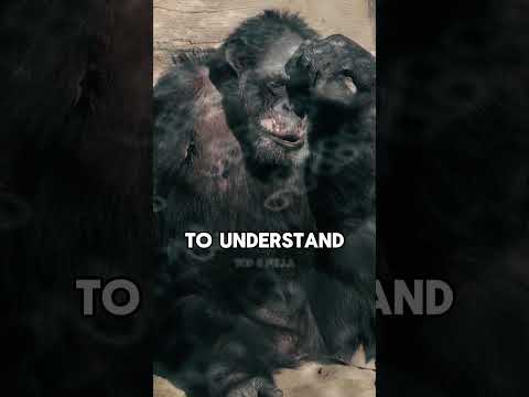 Flip A Coin To Understand w/ Neil deGrasse Tyson