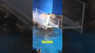 Embarrassment in Front of the Crowd