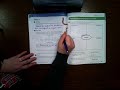 Line Plots and Data Interpretation
