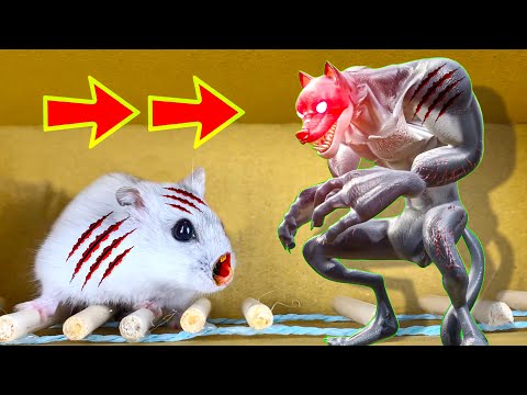 🐹Cute Hamster pets Werewolf but with Traps in maze