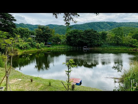 ไอเดียสุดเจ๋ง‼️พัฒนาจุดชมวิววิวหลักร้อยล้านธรรมชาติบึงน้ำภูเ