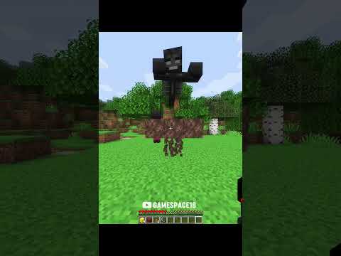 Minecraft Memes