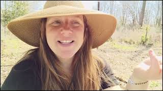 My Plant Murder Confession: Garden Vlog (Did I kill all of my plants?)