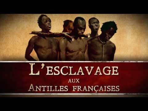 [REUPLOAD] Comment était organisée la traite atlantique vers les Antilles françaises ? [QdH#46]